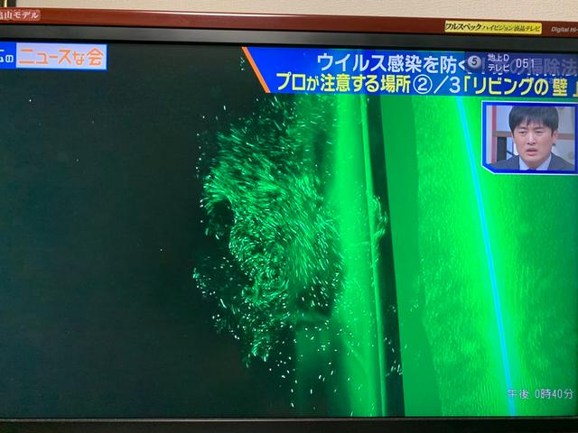 复工后如何防新型冠状病毒?日本专家提出5点建议