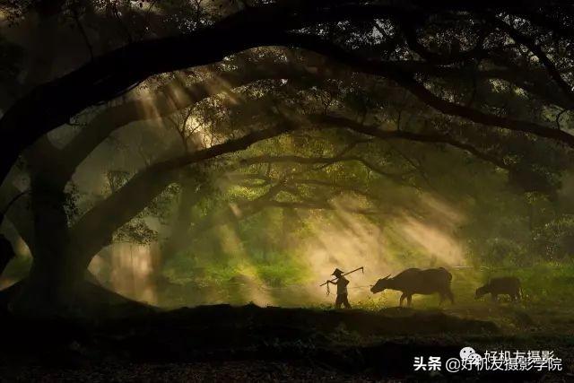 学完这20个摄影构图技巧,作品又提升一个层次了