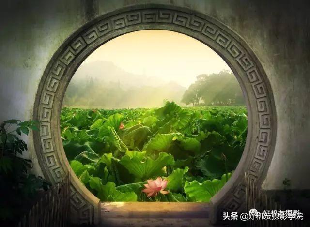 学完这20个摄影构图技巧,作品又提升一个层次了
