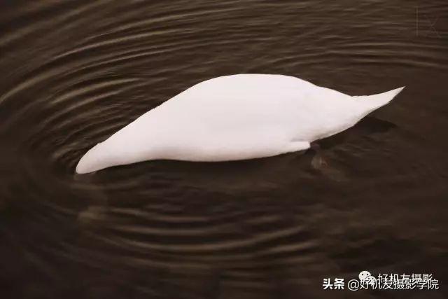 学完这20个摄影构图技巧,作品又提升一个层次了
