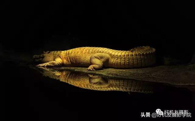 学完这20个摄影构图技巧,作品又提升一个层次了