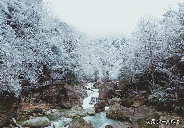 株洲迎来2020年首场瑞雪,家门口的雪景真美