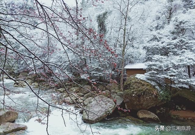 株洲迎来2020年首场瑞雪,家门口的雪景真美
