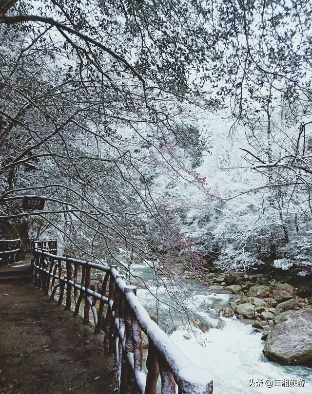 株洲迎来2020年首场瑞雪,家门口的雪景真美