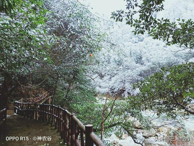株洲迎来2020年首场瑞雪,家门口的雪景真美