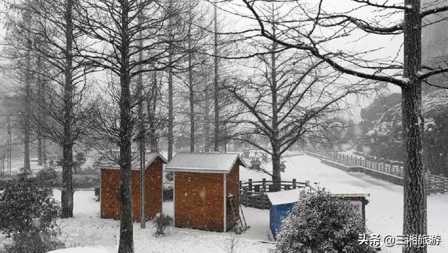 株洲迎来2020年首场瑞雪,家门口的雪景真美