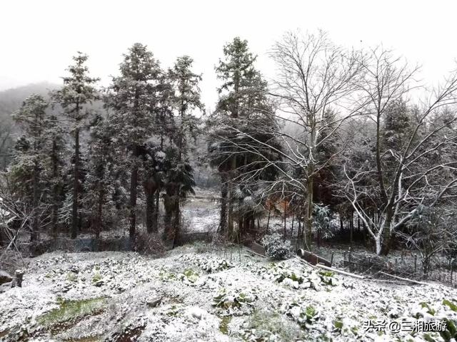 株洲迎来2020年首场瑞雪,家门口的雪景真美