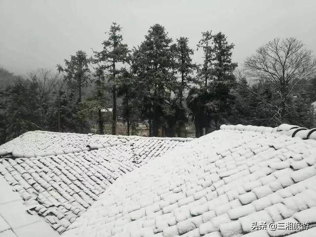 株洲迎来2020年首场瑞雪,家门口的雪景真美