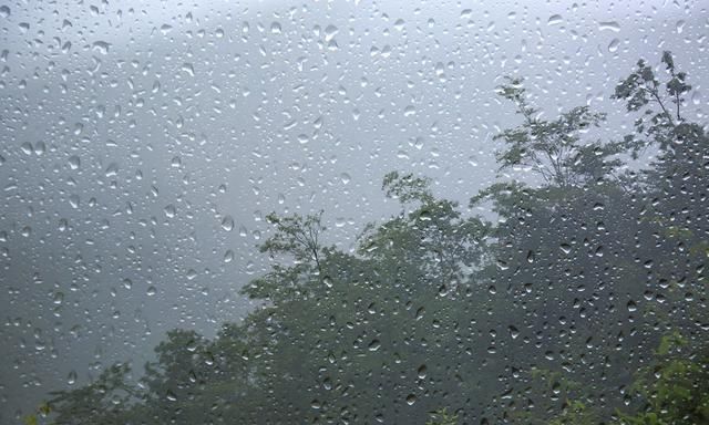 明天雨水节气,农谚:早晨落雨晚担柴,下午落雨打草鞋,啥意思
