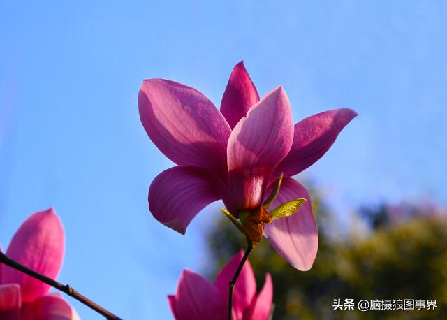 要摄影水平不断提高,这6种提高方法,你会坚持下去吗?