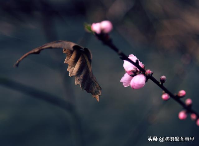 要摄影水平不断提高,这6种提高方法,你会坚持下去吗?