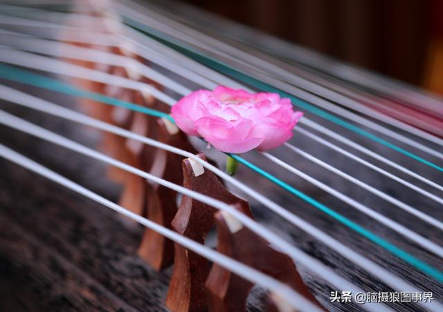 要摄影水平不断提高,这6种提高方法,你会坚持下去吗?