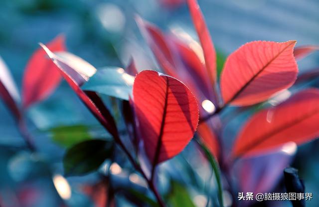要摄影水平不断提高,这6种提高方法,你会坚持下去吗?