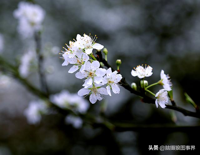 要摄影水平不断提高,这6种提高方法,你会坚持下去吗?