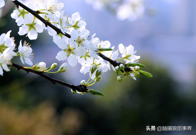 要摄影水平不断提高,这6种提高方法,你会坚持下去吗?