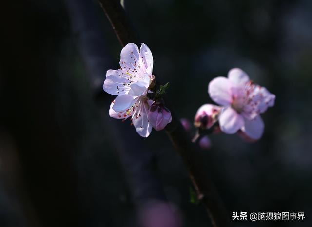 要摄影水平不断提高,这6种提高方法,你会坚持下去吗?