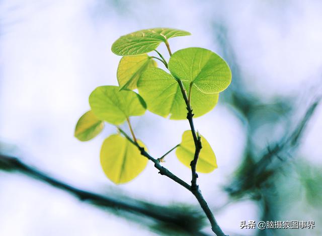 要摄影水平不断提高,这6种提高方法,你会坚持下去吗?
