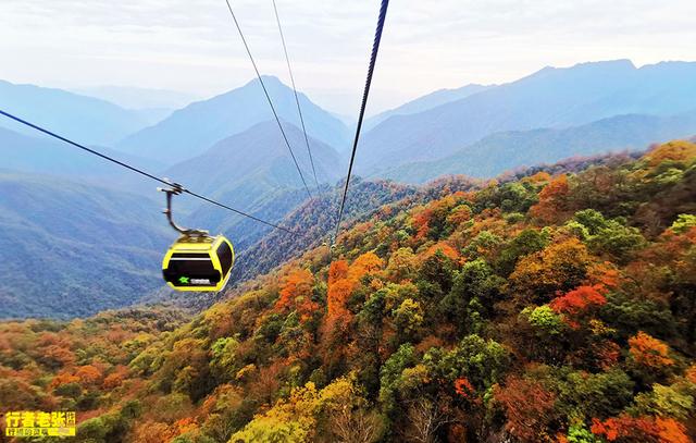 中国第53项世界遗产,贵州梵净山,又被评为全球最值得旅游目的地