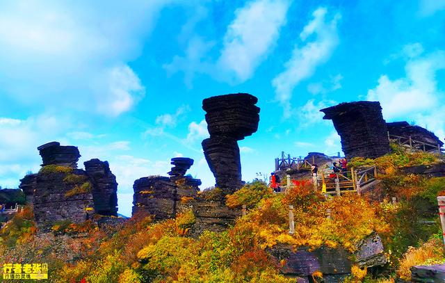中国第53项世界遗产,贵州梵净山,又被评为全球最值得旅游目的地