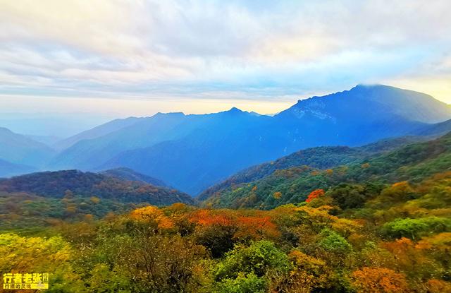 中国第53项世界遗产,贵州梵净山,又被评为全球最值得旅游目的地