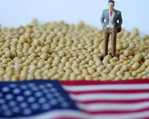 美国宁愿倒贴钱,也要向中国出口粮食,背后到底有什么目的?