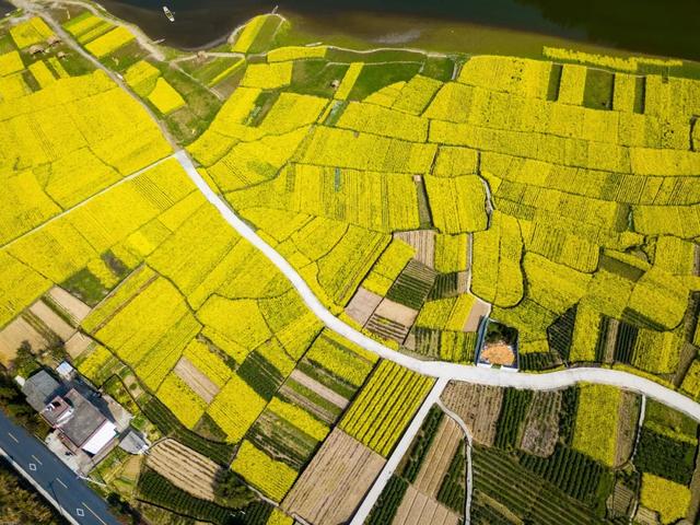 千岛湖成为全国第一个被解禁的城市,这里最先呼吸上了新鲜的空气