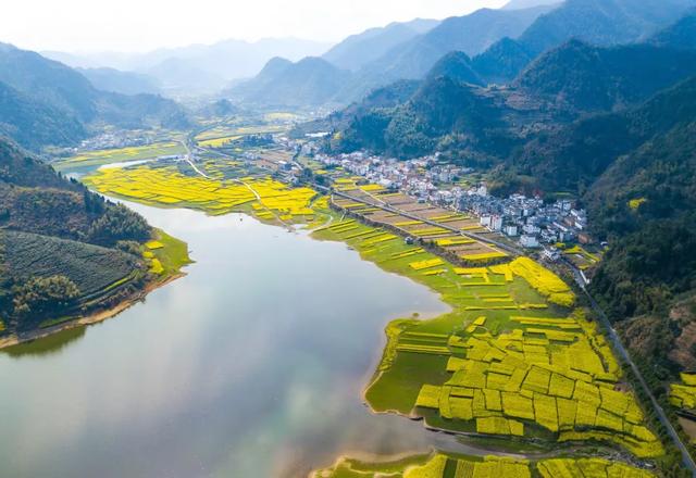 千岛湖成为全国第一个被解禁的城市,这里最先呼吸上了新鲜的空气