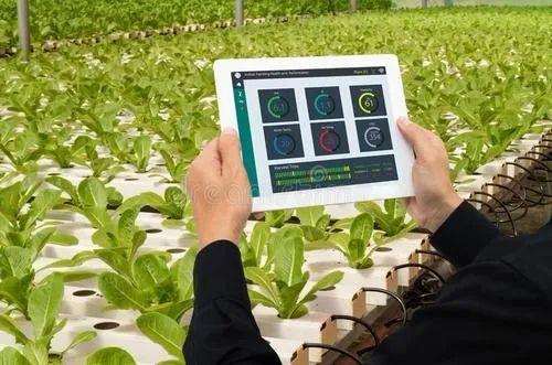 土地不集中、技术落后,互联网如何拯救中国种植业
