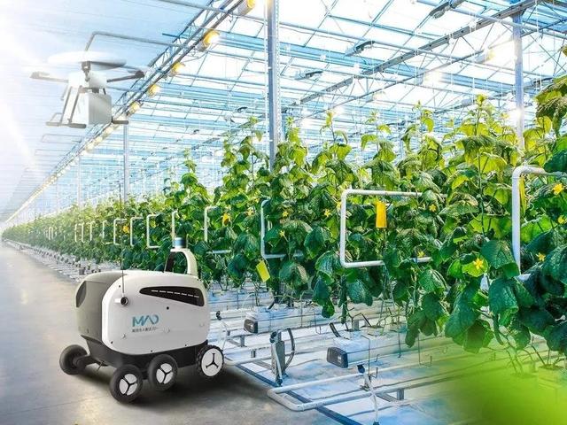 土地不集中、技术落后,互联网如何拯救中国种植业