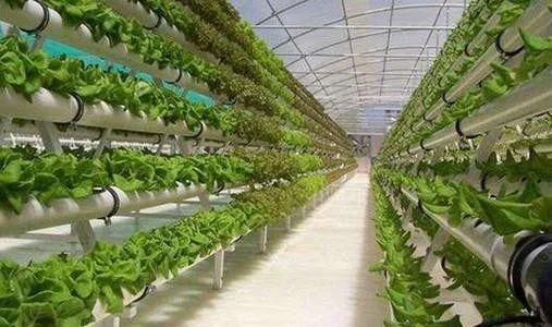 土地不集中、技术落后,互联网如何拯救中国种植业