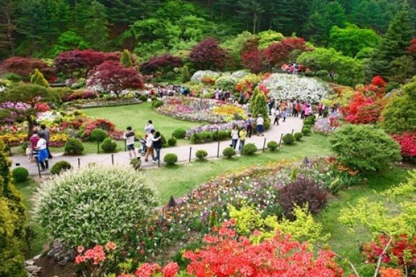 韩国旅游:首尔南怡岛,一年四季都拥有美景和雅韵,一起看看吧