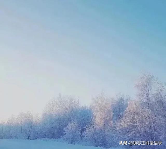 人生过的是心情,生活活的是心态