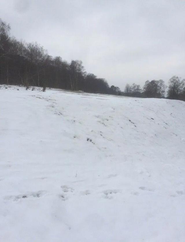 英国男子把雪球藏冰箱里10年,现在要卖13万,妻子为此跟他离婚