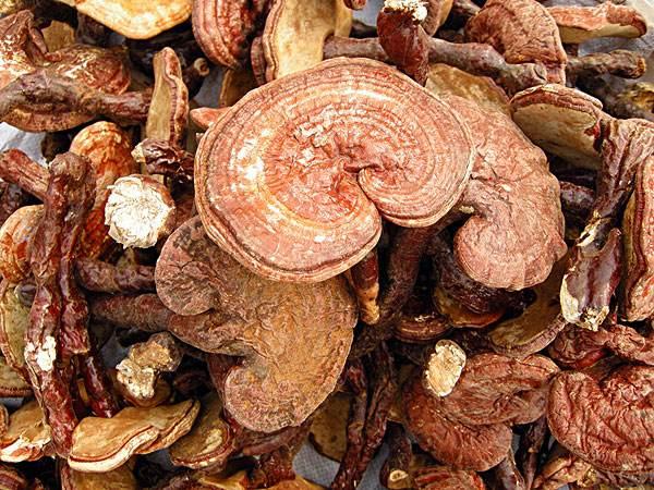 这4种你以为很贵,实际很便宜的食材,别再被电视剧误导了