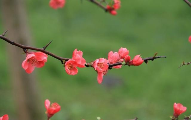 坎坎坷坷的人生,平平淡淡的生活,才是人生常理