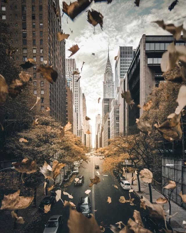秋天拍照这样选前景,不出大片都难