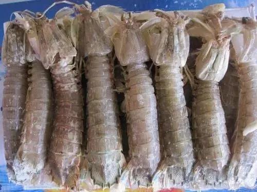 菜市场最“坑”的3种海鲜,外表诱人又便宜,老板:我自己都不吃