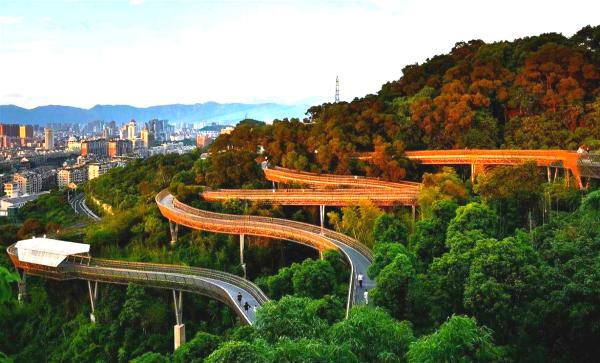 福建省的四座“国家历史文化名城”,有你家乡吗?