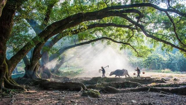 福建这6处景点,个个低调又绝美,趁着人少赶紧走起