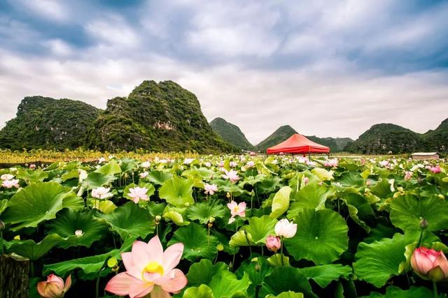 30个国内醉美旅行地,哪个才是你心中的NO.1?