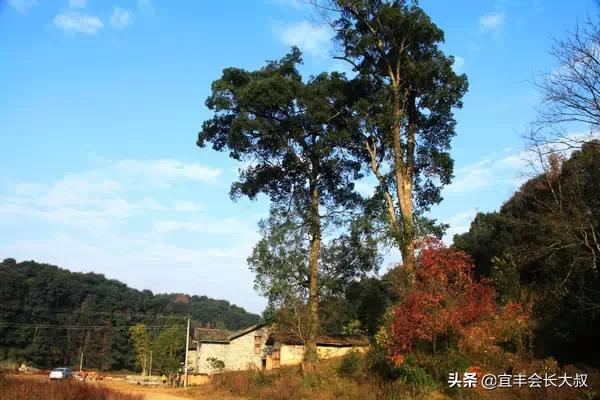 江西有一个正在消失的千年古村落,美得惊心动魄