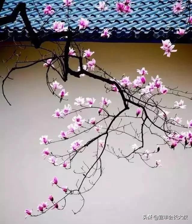 江西有一个正在消失的千年古村落,美得惊心动魄