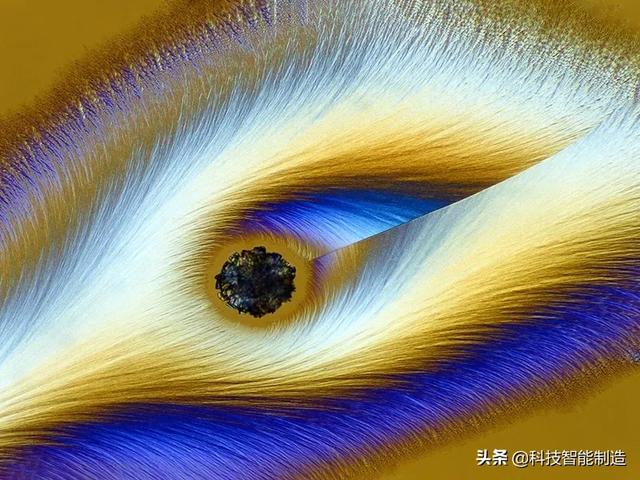 日本显微镜、德国显微镜、手机显微镜都可以看微观世界,你试过吗