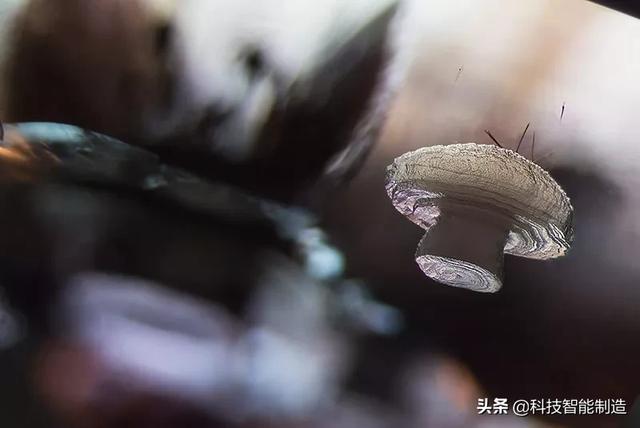 日本显微镜、德国显微镜、手机显微镜都可以看微观世界,你试过吗