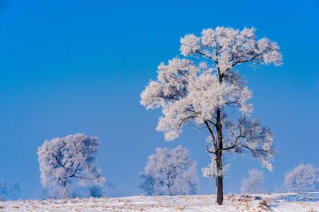 拍摄东北雪景,这条线路真的很美!