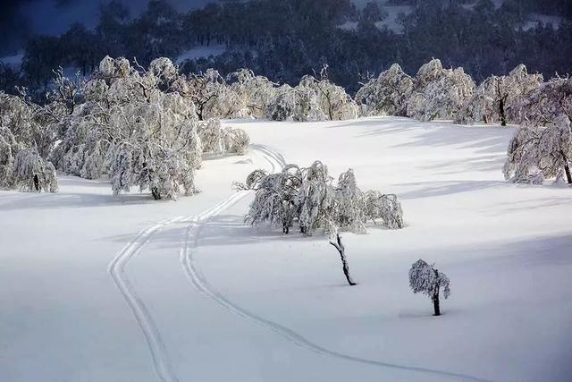 拍摄东北雪景,这条线路真的很美!