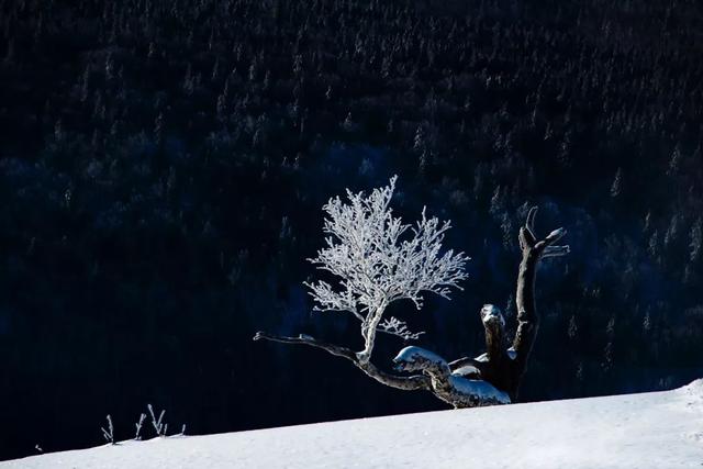 拍摄东北雪景,这条线路真的很美!