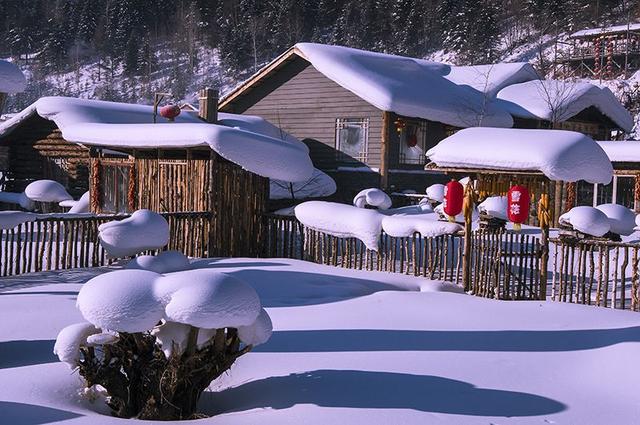 拍摄东北雪景,这条线路真的很美!