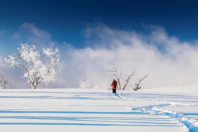 拍摄东北雪景,这条线路真的很美!