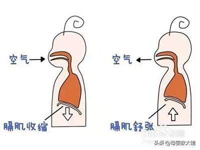 新生宝宝常见问题和疾病的预防及护理!妈妈这样做,宝宝少生病